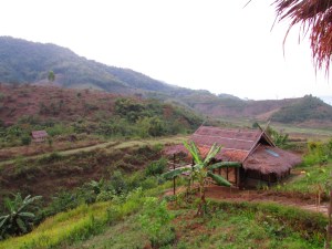 view from our bungalow in Chiang Rai